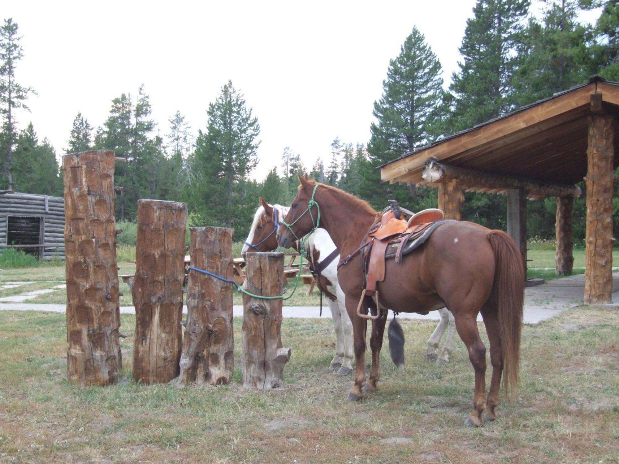 Eagle Ridge Ranch Villa Island Park Kültér fotó
