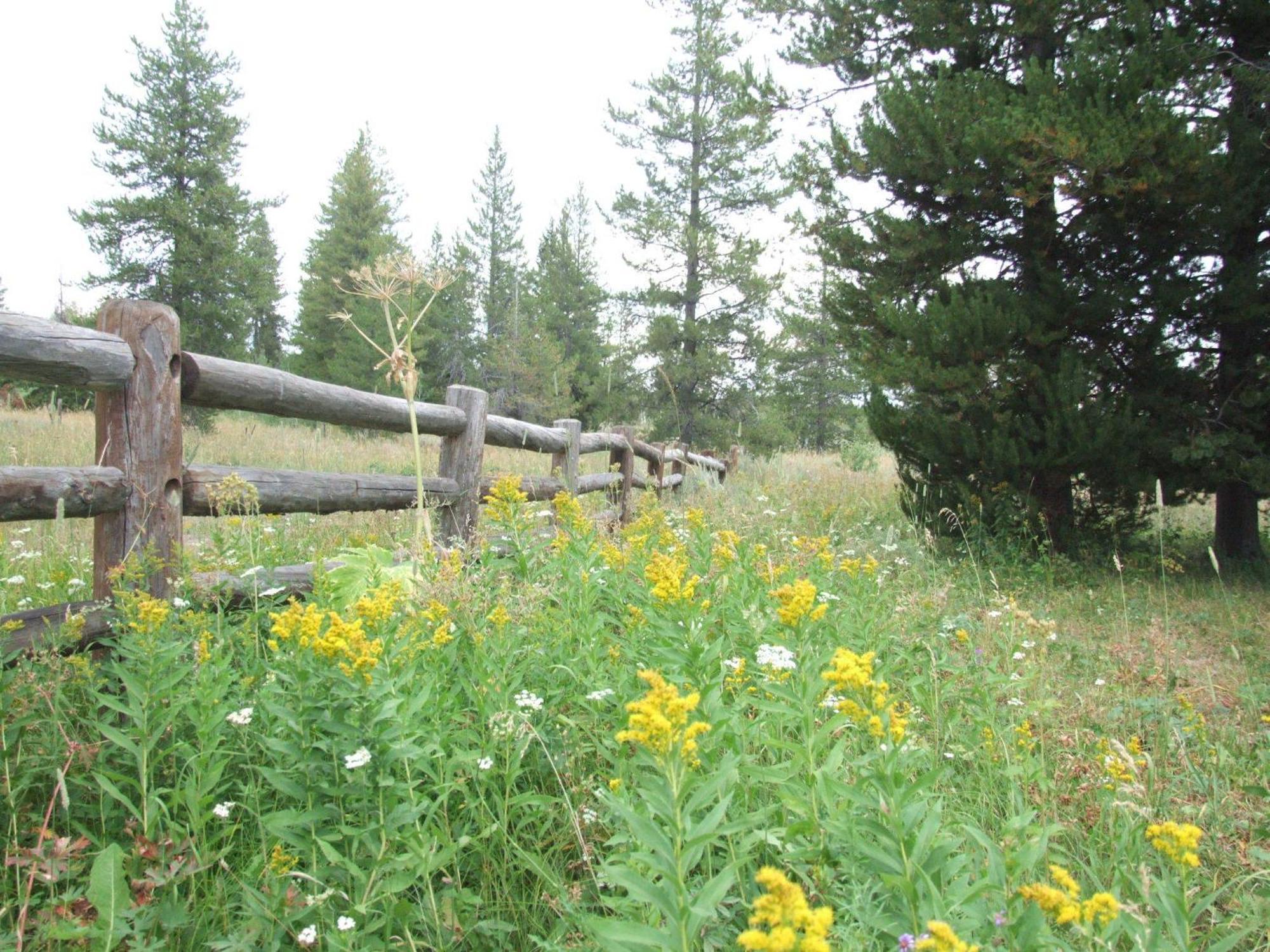 Eagle Ridge Ranch Villa Island Park Kültér fotó